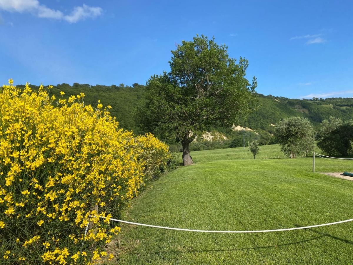 Amico Country House Serra San Quirico Eksteriør billede