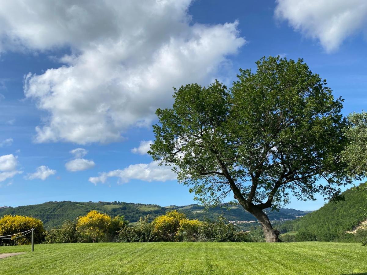 Amico Country House Bed and Breakfast Serra San Quirico Eksteriør billede